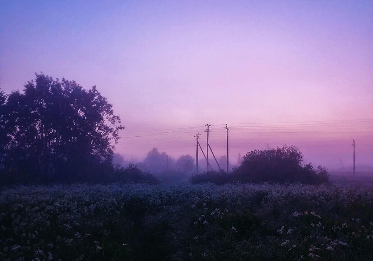 涩涩视频的黑幕被彻底揭开 · 秘密140