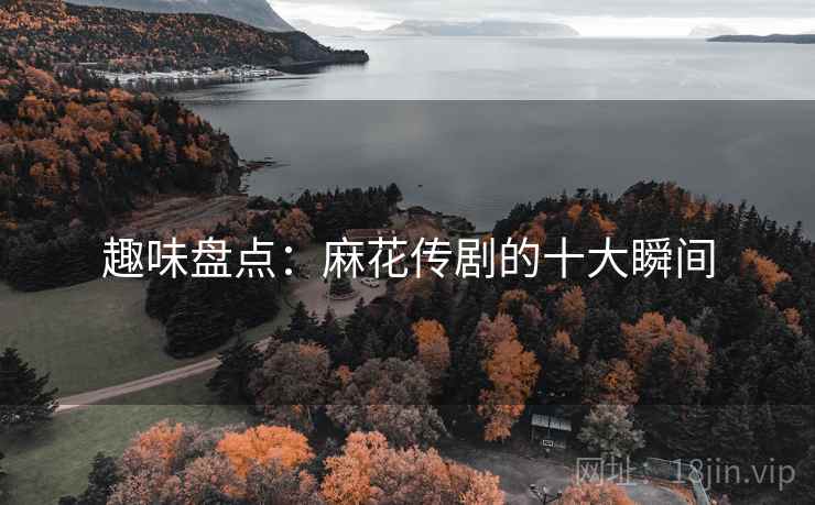 趣味盘点：麻花传剧的十大瞬间