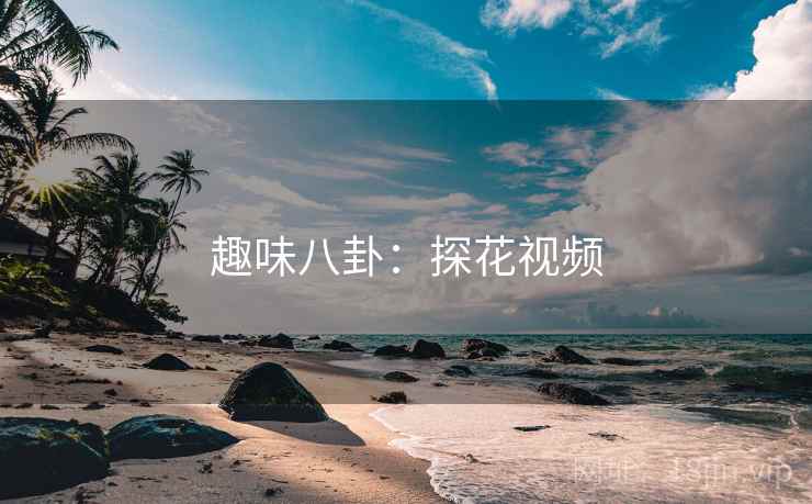趣味八卦：探花视频