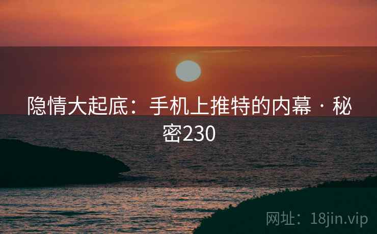隐情大起底：手机上推特的内幕 · 秘密230