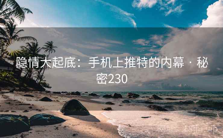 隐情大起底：手机上推特的内幕 · 秘密230