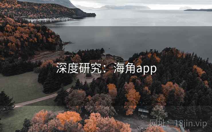 深度研究：海角app